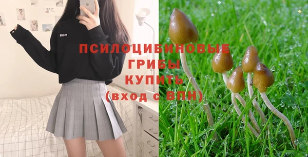 MDMA Premium VHQ Михайловка