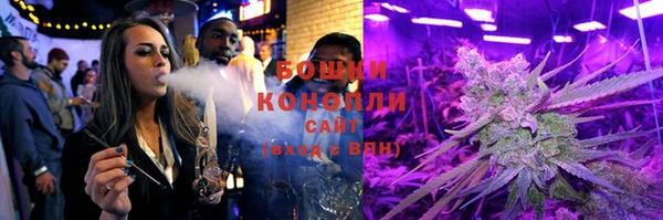 гидра Мензелинск