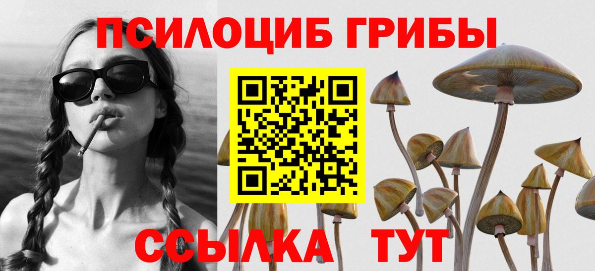 Псилоцибиновые грибы MAGIC MUSHROOMS  Можга  Псилоцибиновые грибы Magic Shrooms 