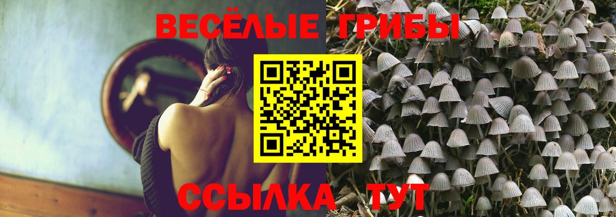 Псилоцибиновые грибы GOLDEN TEACHER  Галлюциногенные грибы ЛСД  Можга  Вход с VPN 