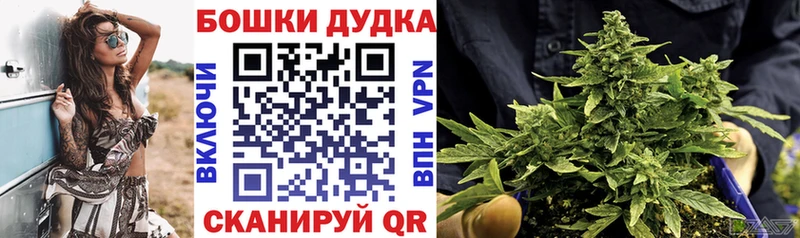 Конопля MAZAR  Можга 